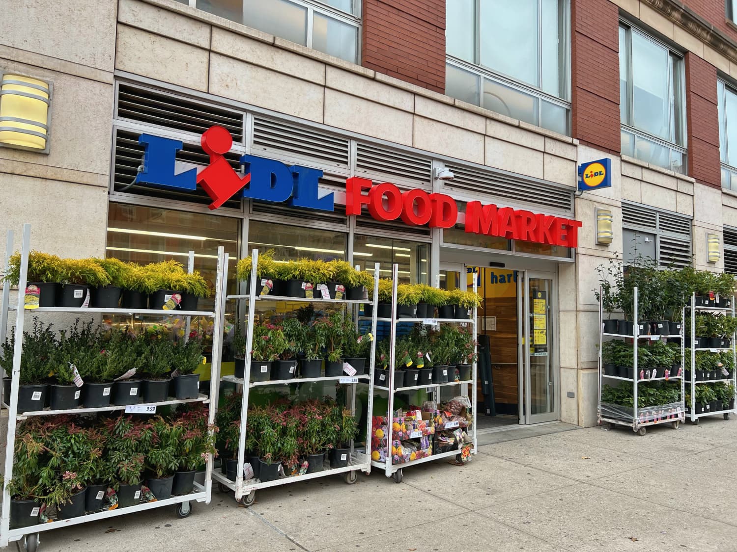 Basket lidl sales star