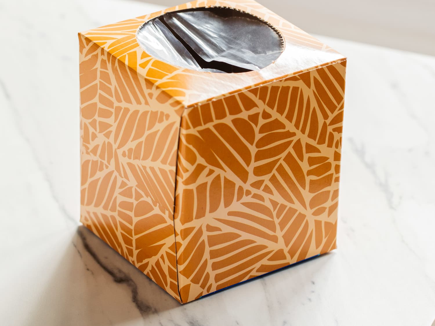 Empty tissue shop box