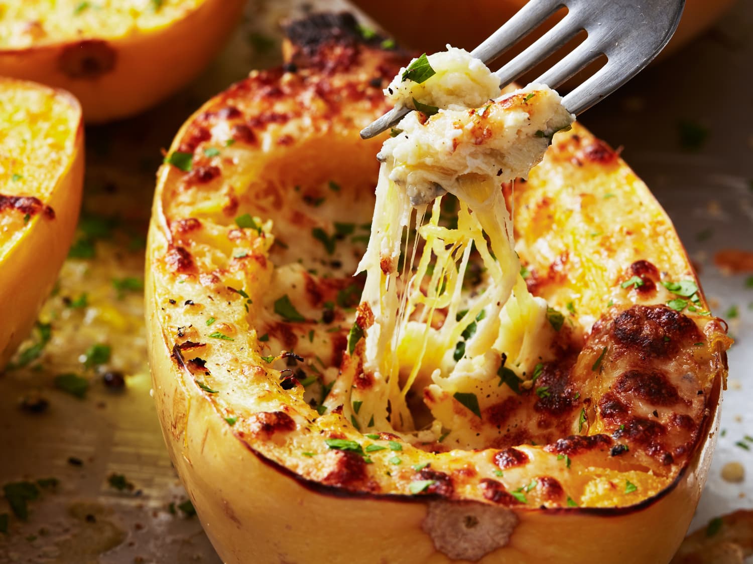 Is spaghetti squash good best sale for dogs