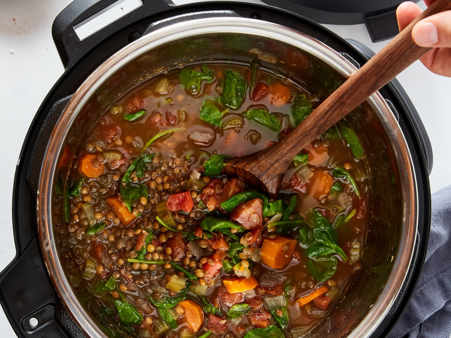 Vegetarian instant pot dishes store