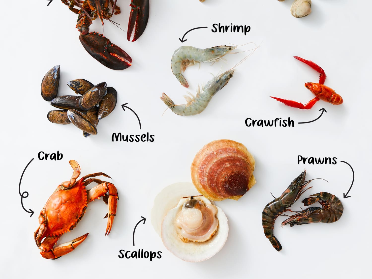 Different types of seafood new arrivals