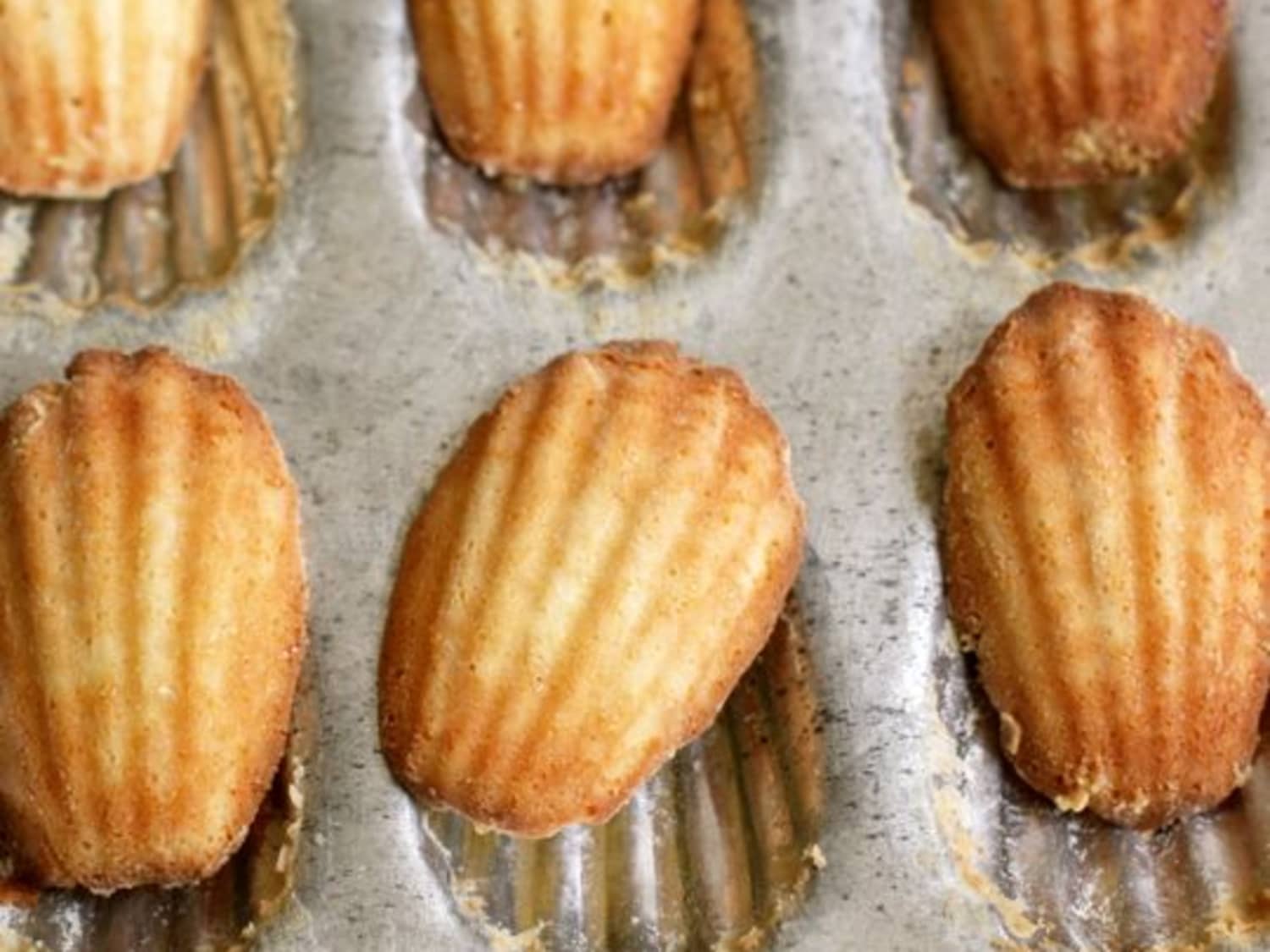 Madeleine biscuits best sale