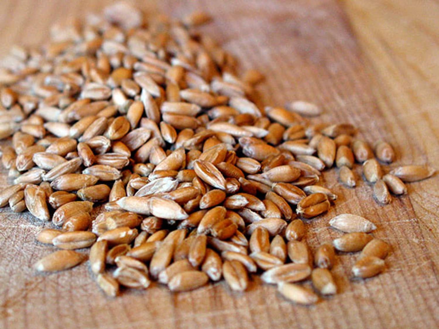 How To Cook Spelt Barley