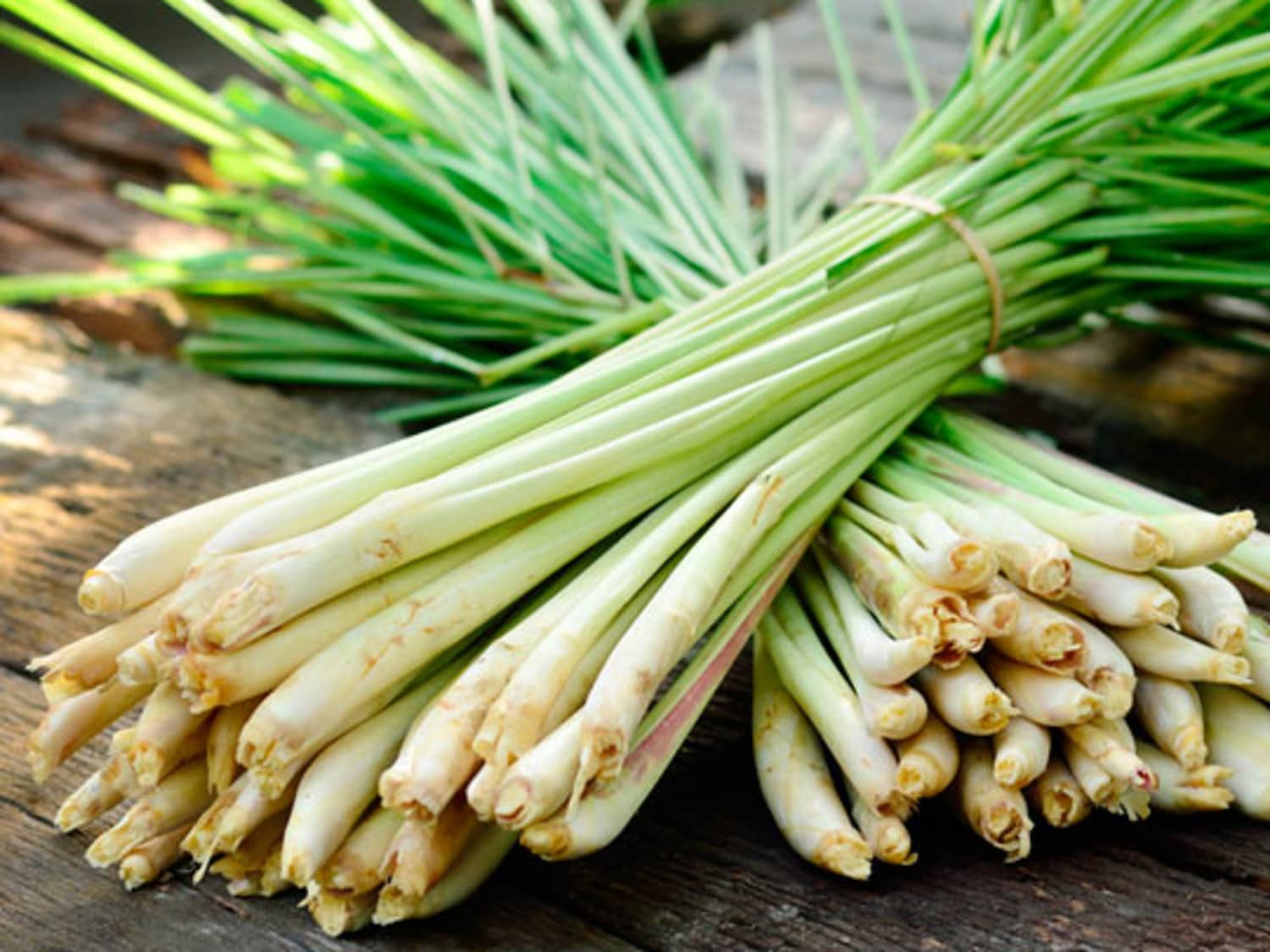 Lemongrass: Infuse Dishes with Delicate Lemony Flavor | The Kitchn