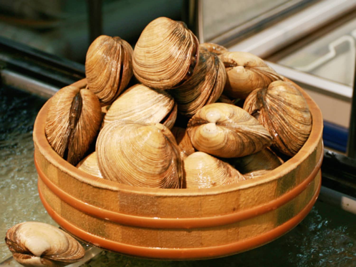 How much does a clam weigh clearance