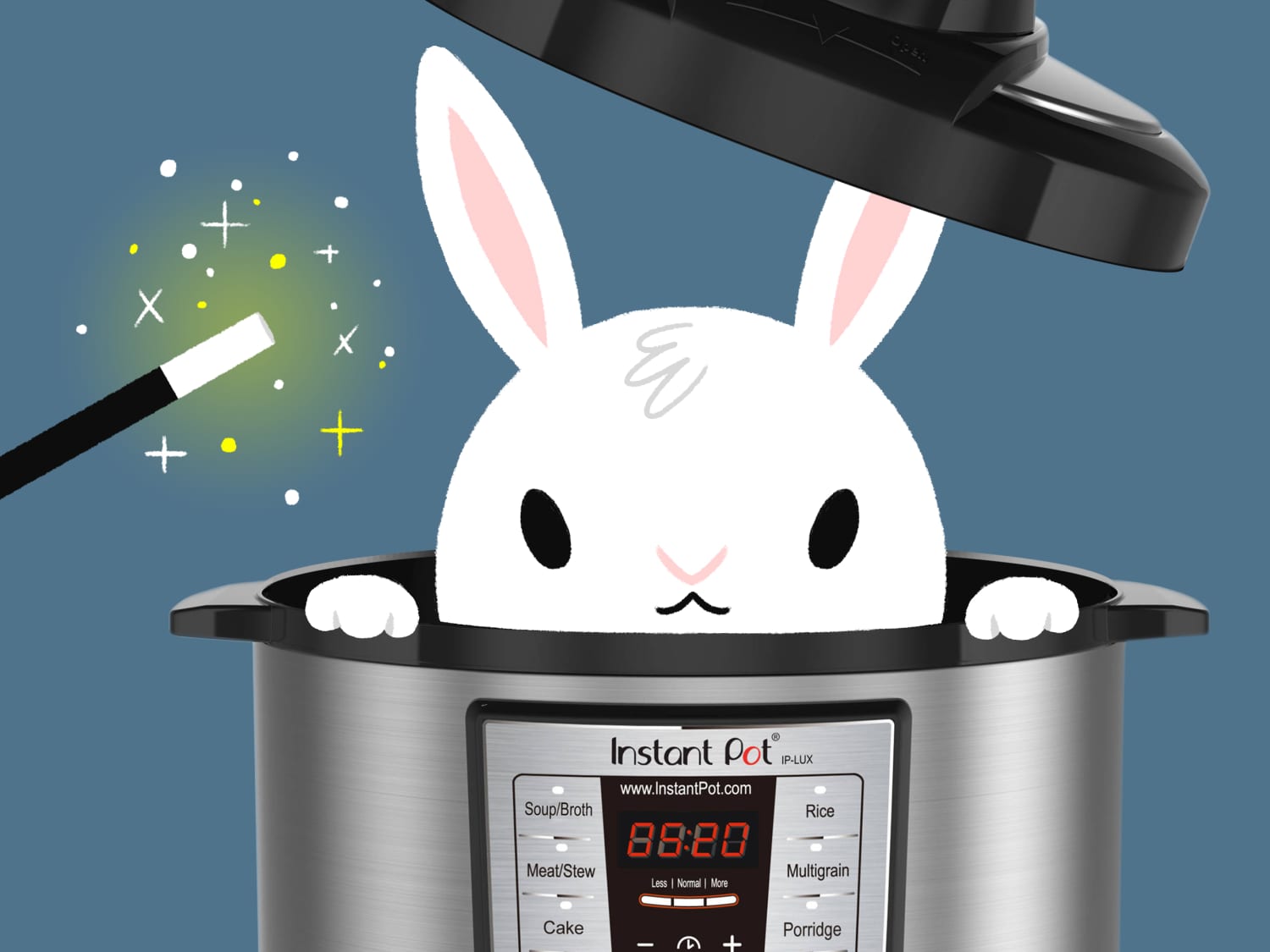 Defrost meat instant pot store