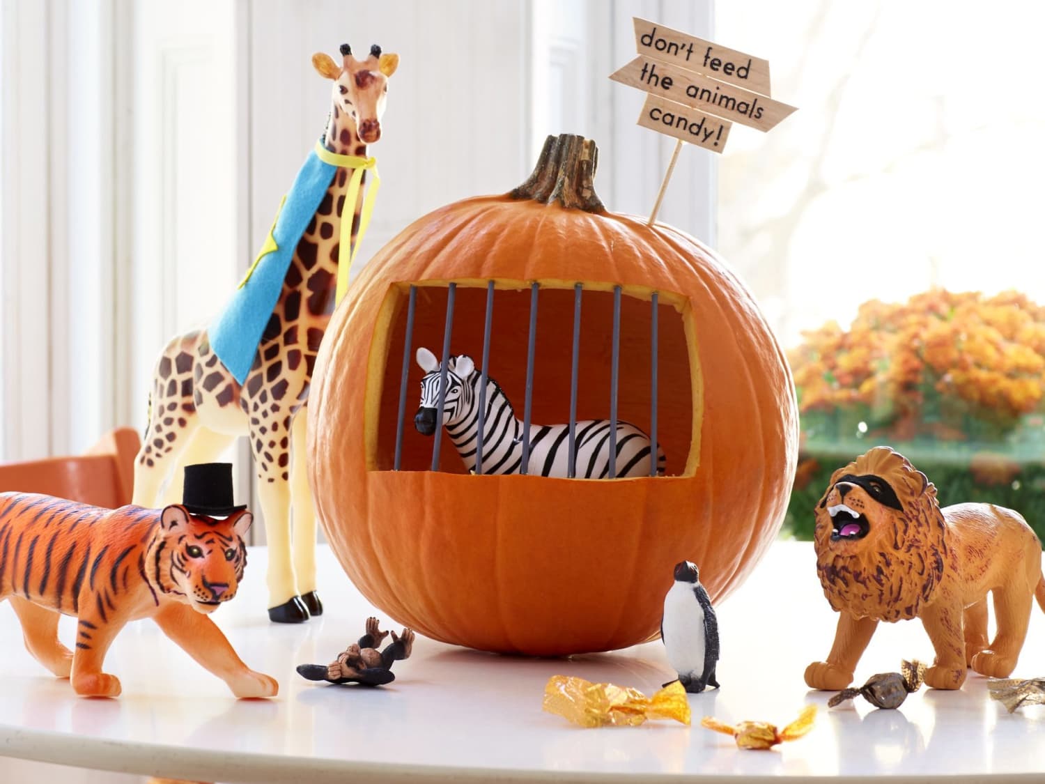 Pumpkin ideas for on sale kids