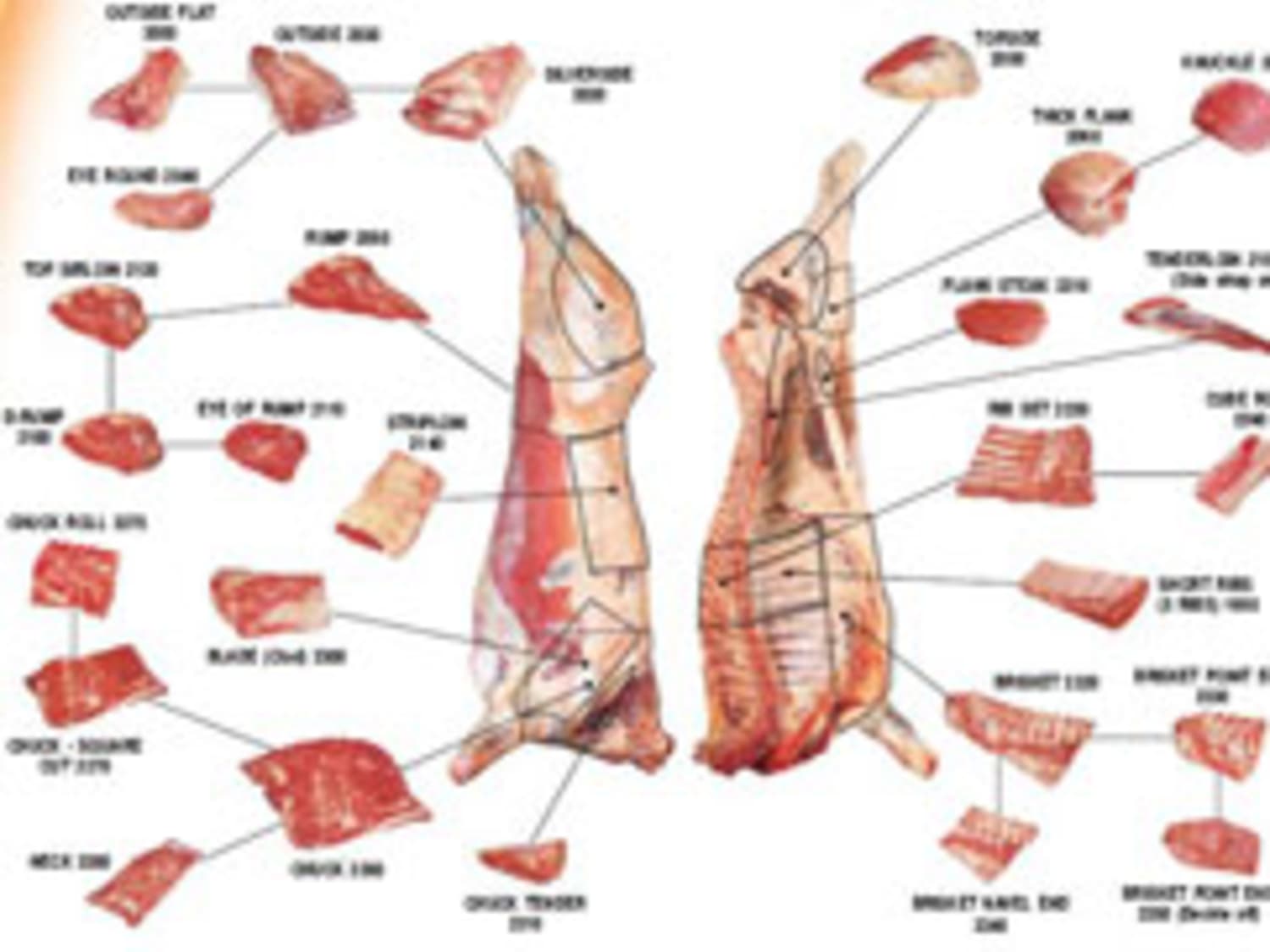 Is boiled beef good for dogs store
