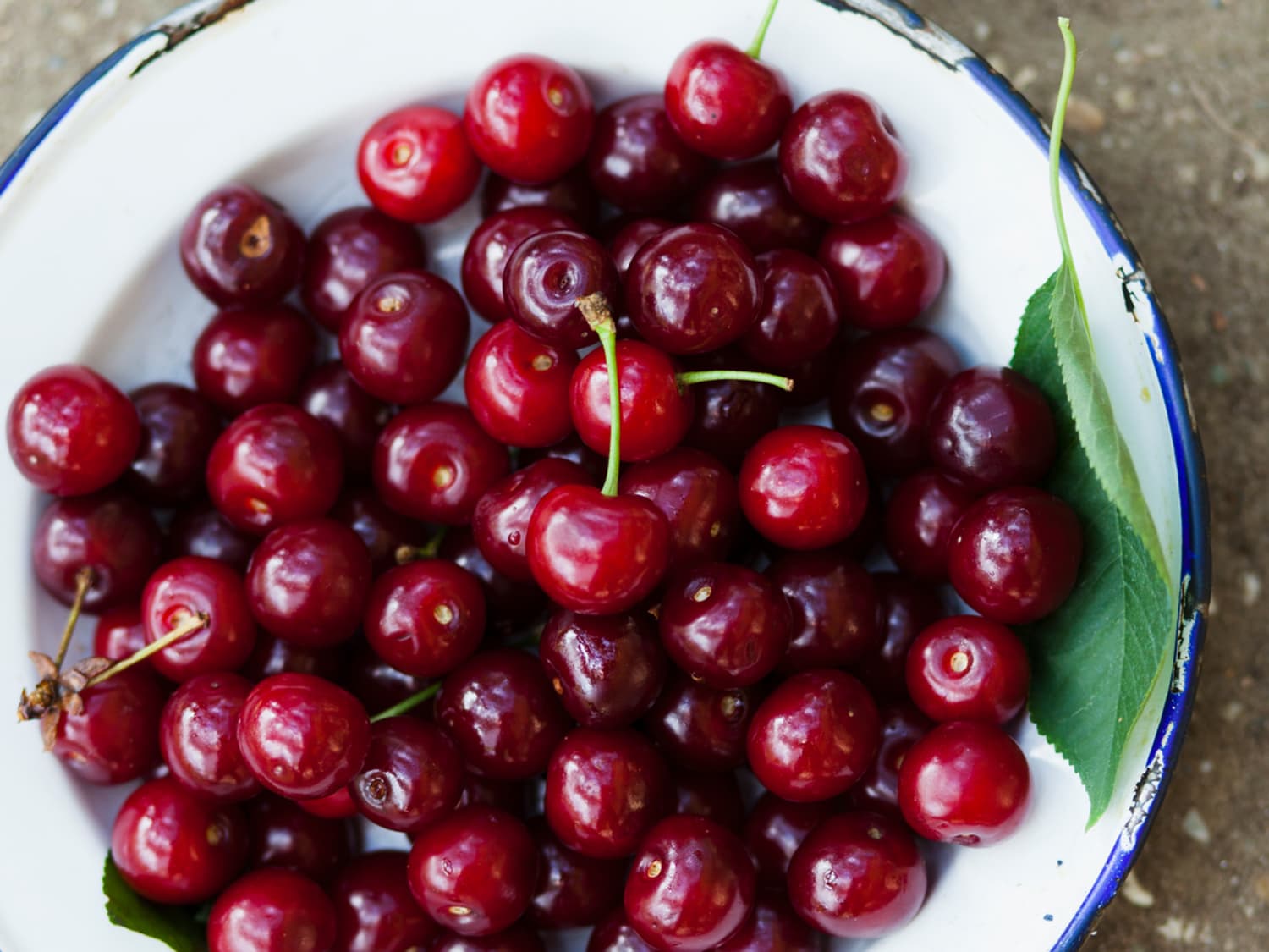 Sour cherry discount