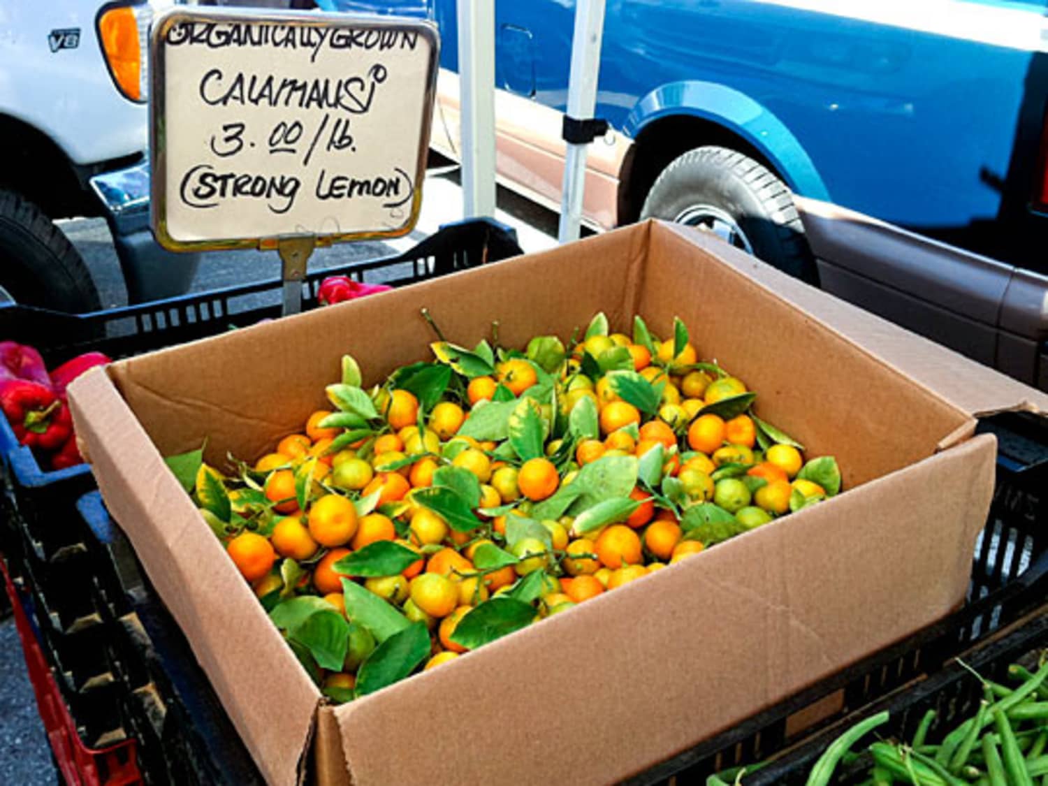 Strong and Sour: Calamansi Lemons | The Kitchn