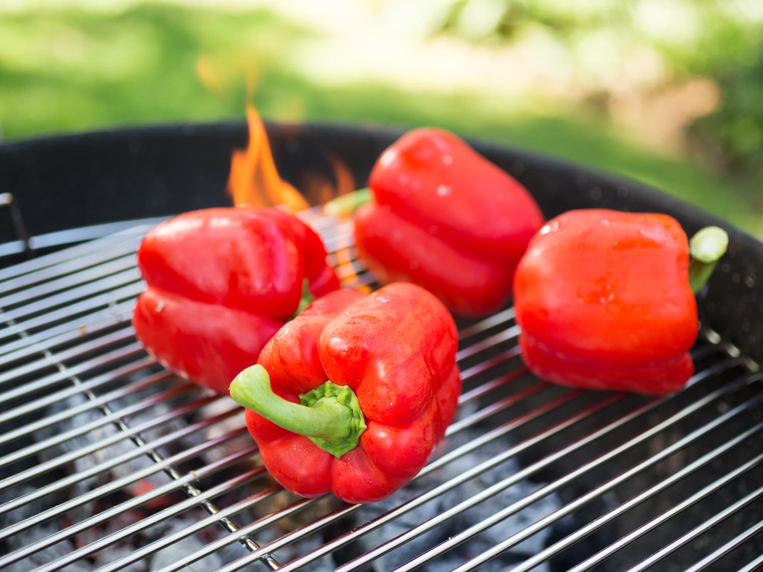 Grilled best sale red peppers