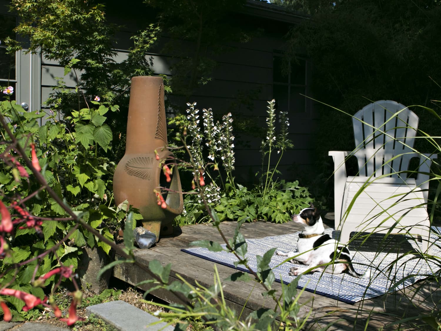 4 Low Lift High Reward Landscaping Trends Professionals Love Apartment Therapy