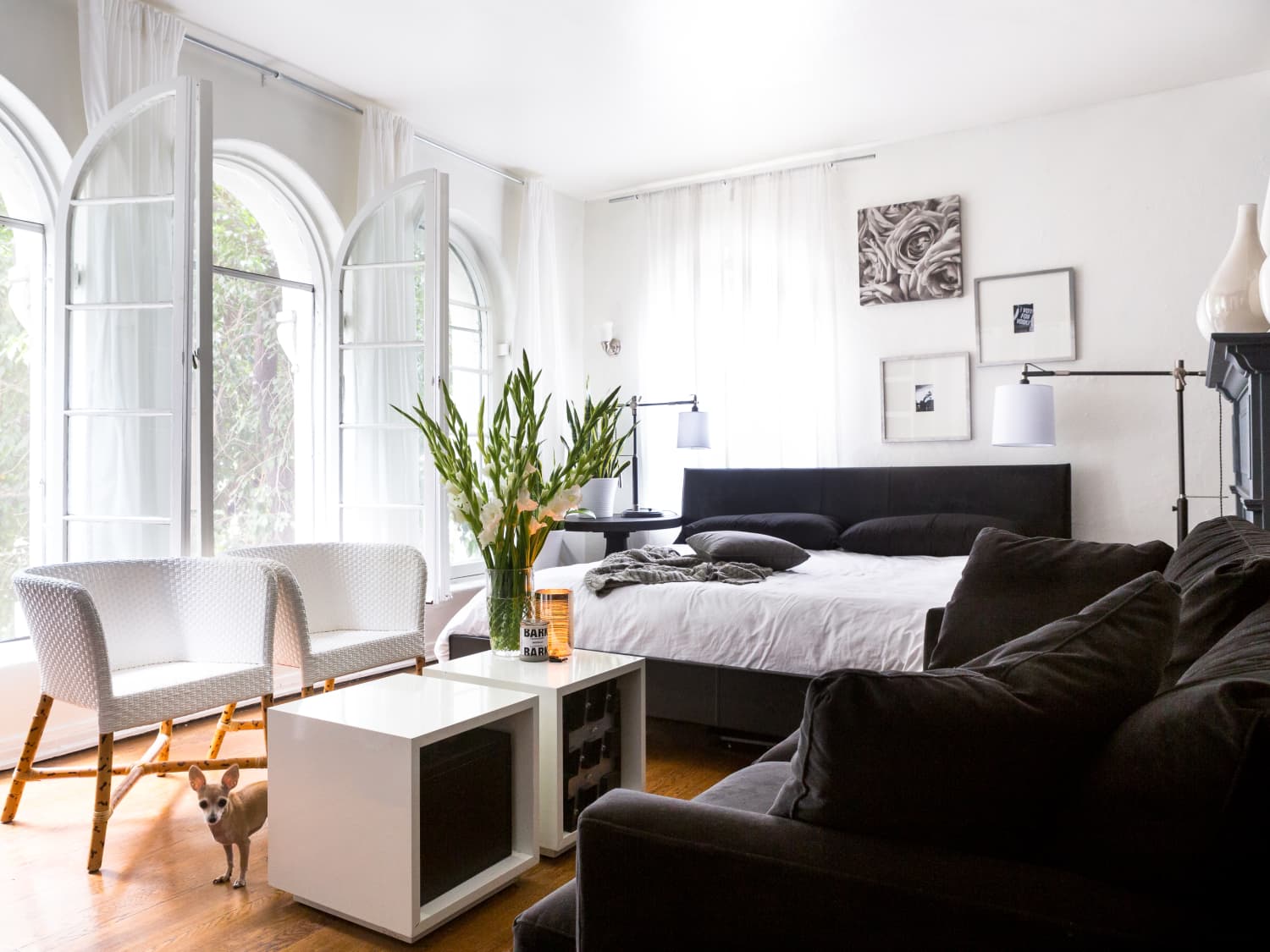 46 Small Apartment Products People Actually Use