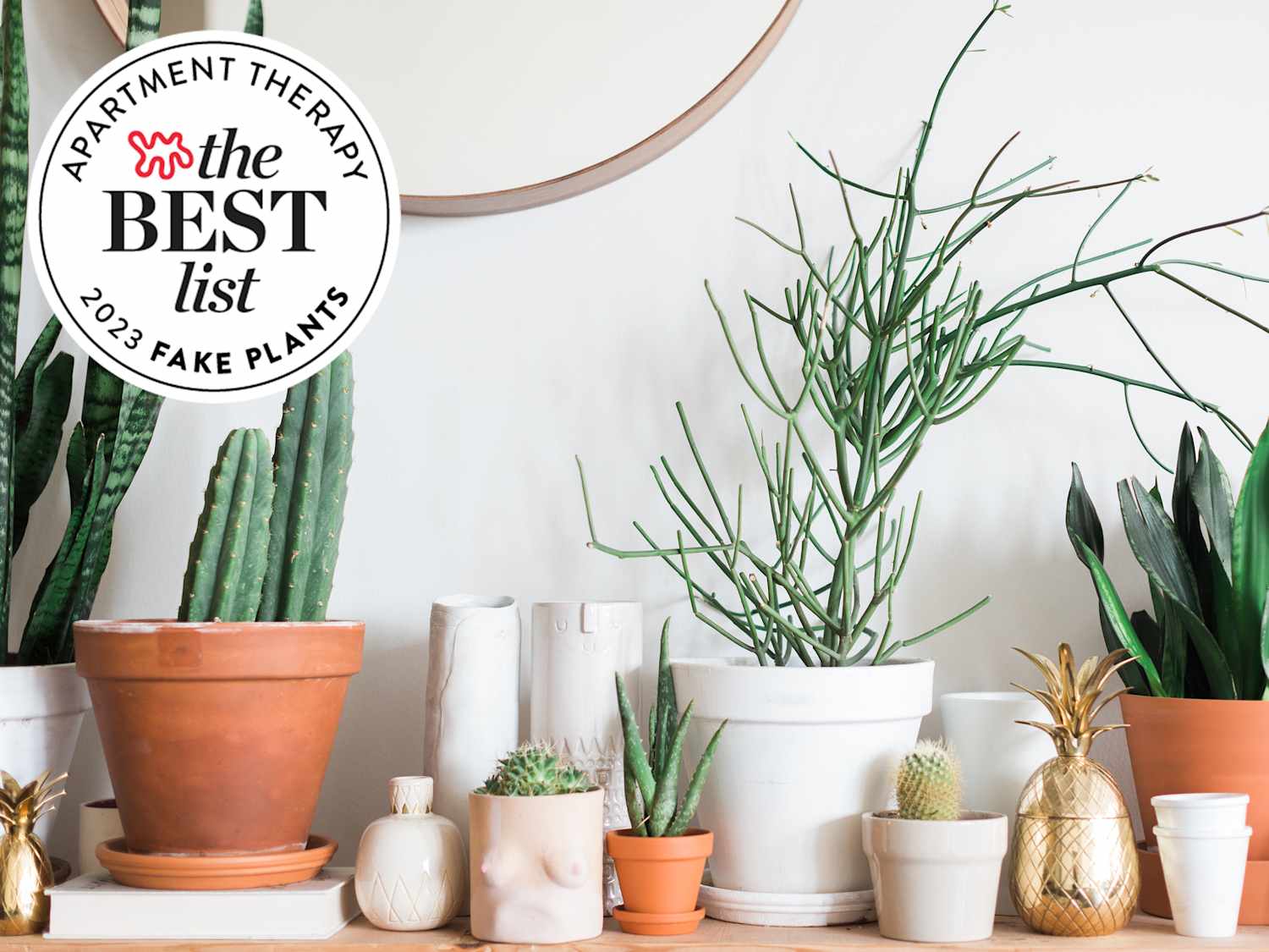 The Best Fake Plants of 2023, Tested By AT Editors | Apartment Therapy