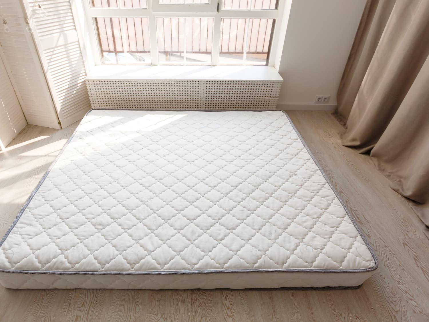 Why You Should Go To Reddit If You Think You Have Bed Bugs