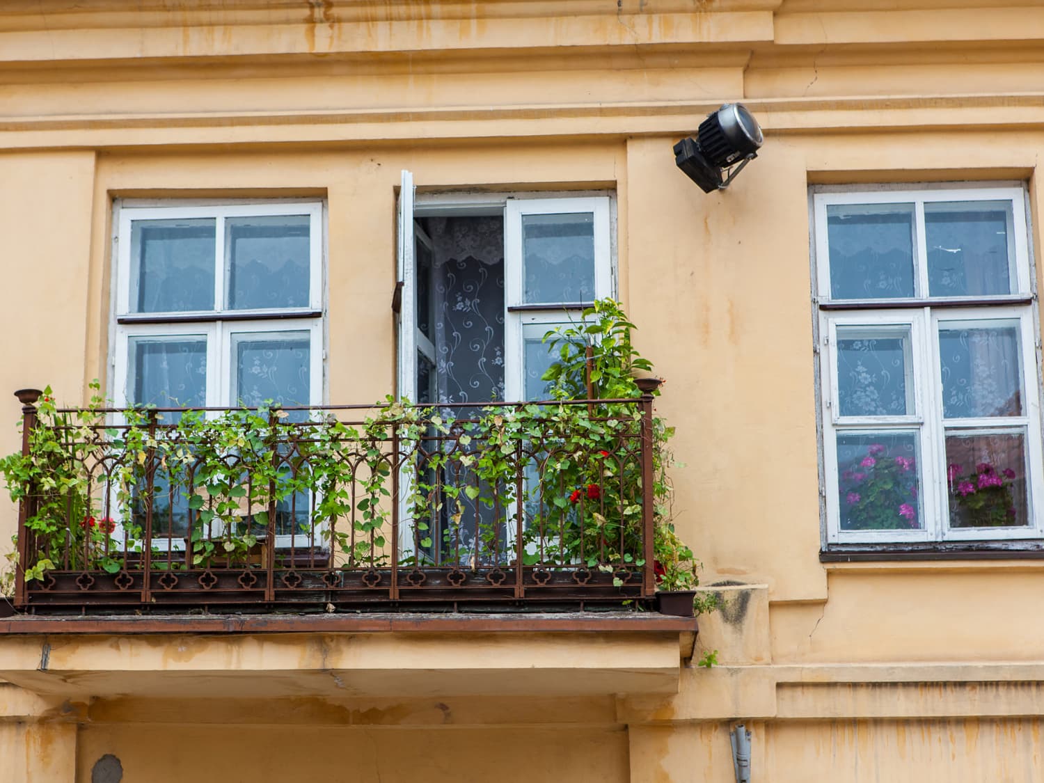 What Is a Juliet Balcony? History, Purpose & Decorating Tips ...