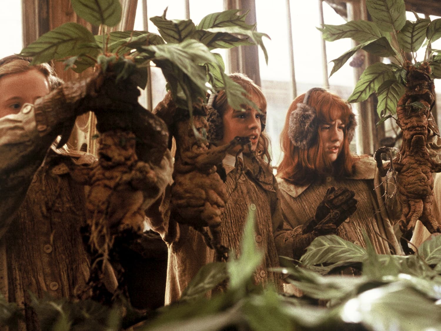 Etsy Harry Potter Mandrake Plants Apartment Therapy