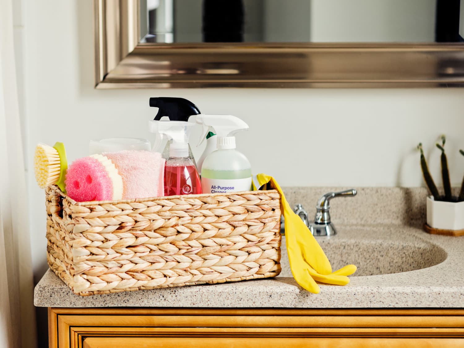 Kitchen, Bathroom and Multi-Purpose Cleaners for Your Home - Soft Scrub
