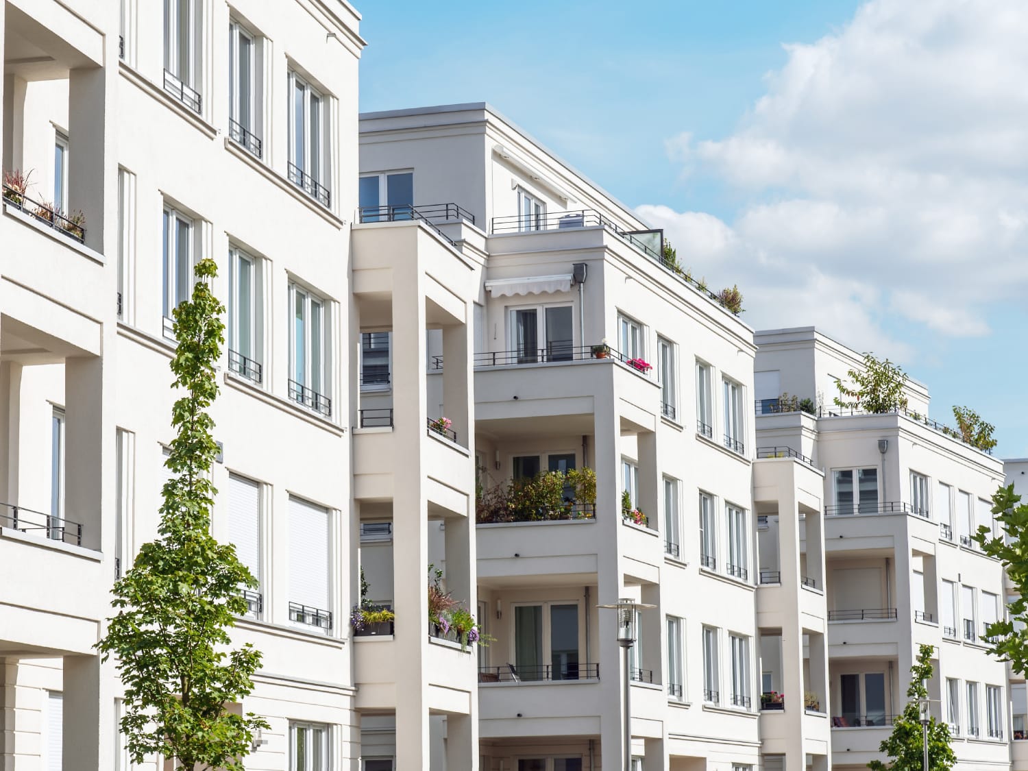 Apartment Vs Condo What S The Difference Apartment Therapy