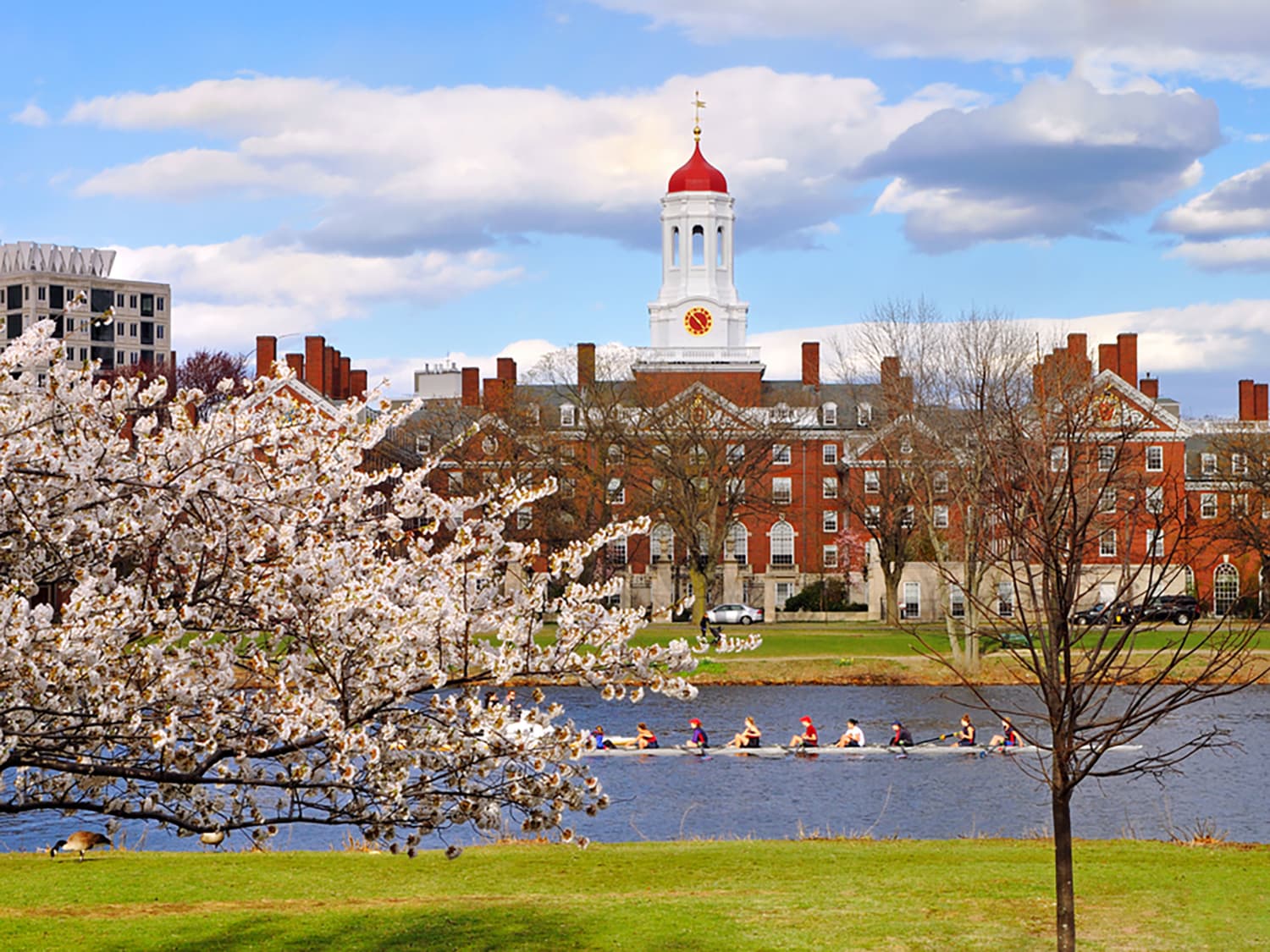 Harvard's “Most Beautiful Dorm” Looks A Lot Like Hogwarts | Apartment  Therapy, image size:1500x1125