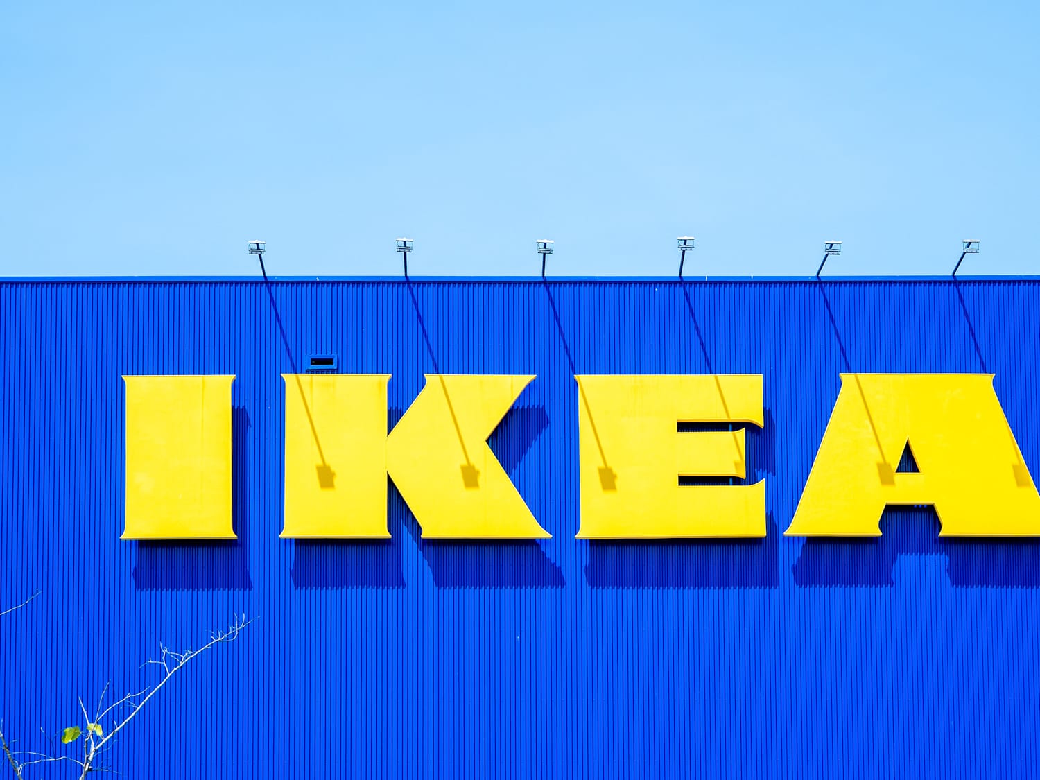 stock%2Fshutterstock_2724886965