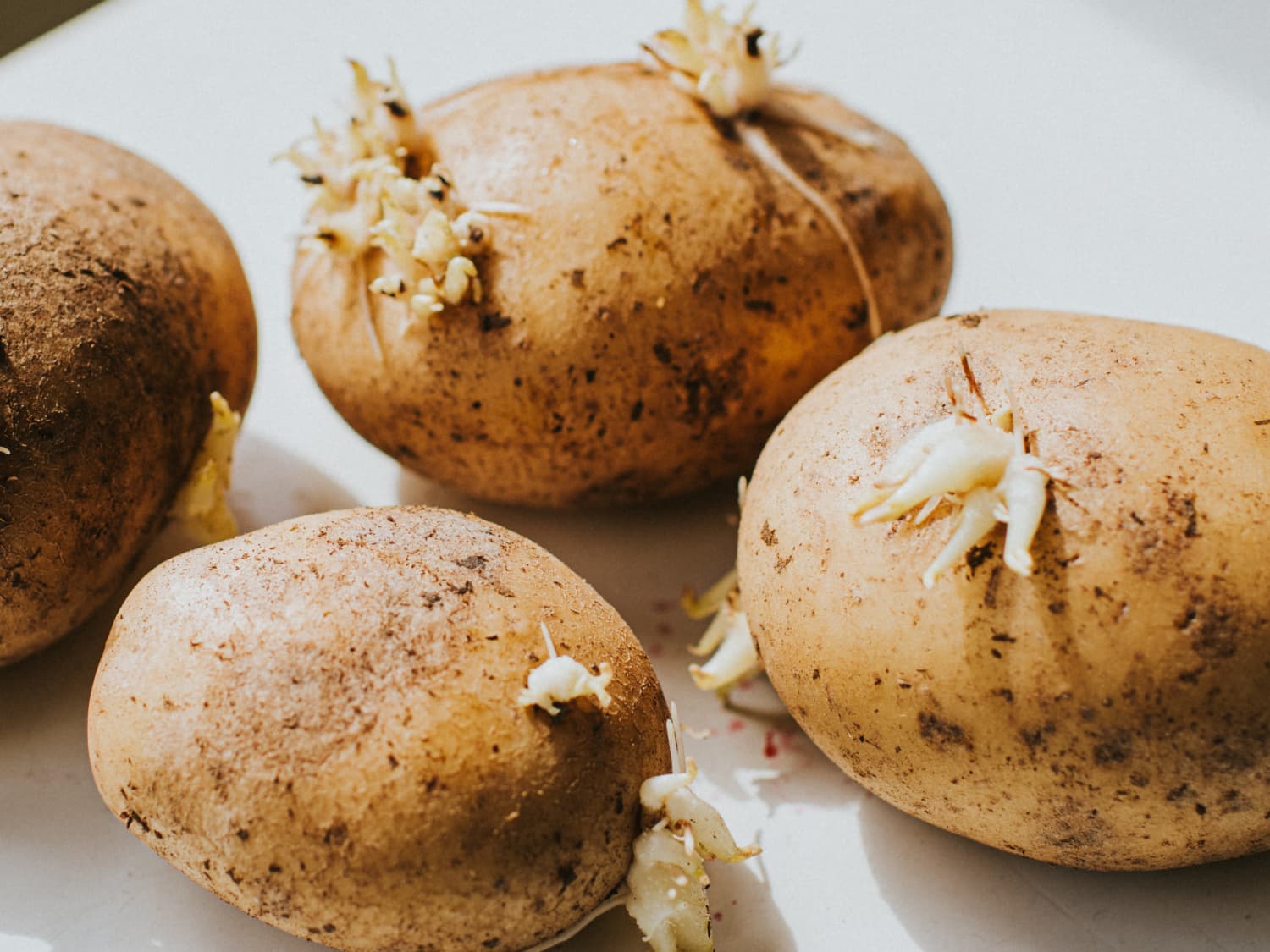 Using Potatoes With Eyes