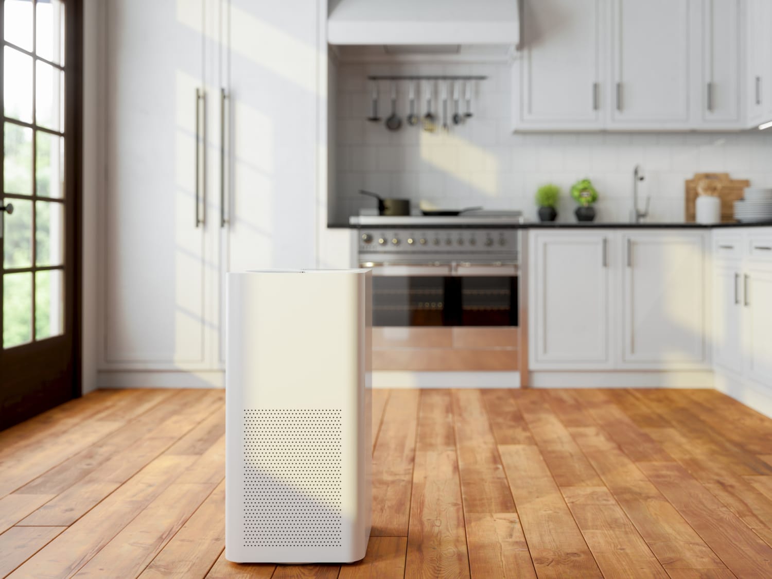 Air purifier store for kitchen