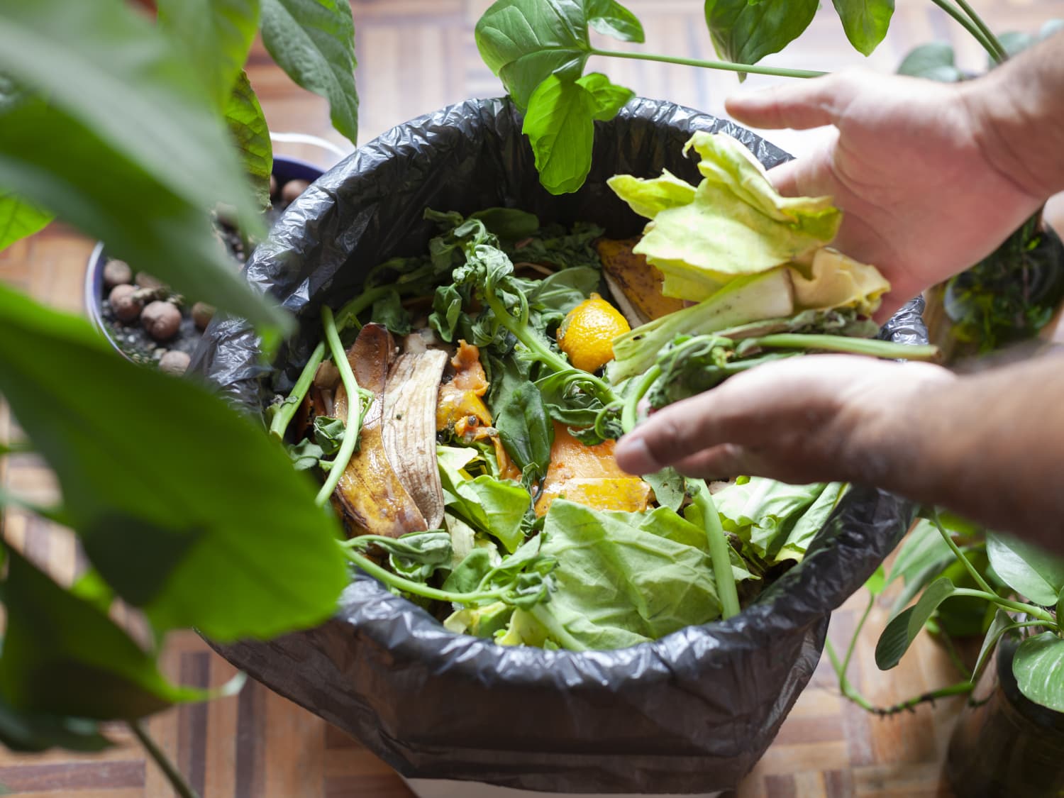 Atelier Beton collaborates with Vitamix! It may seem