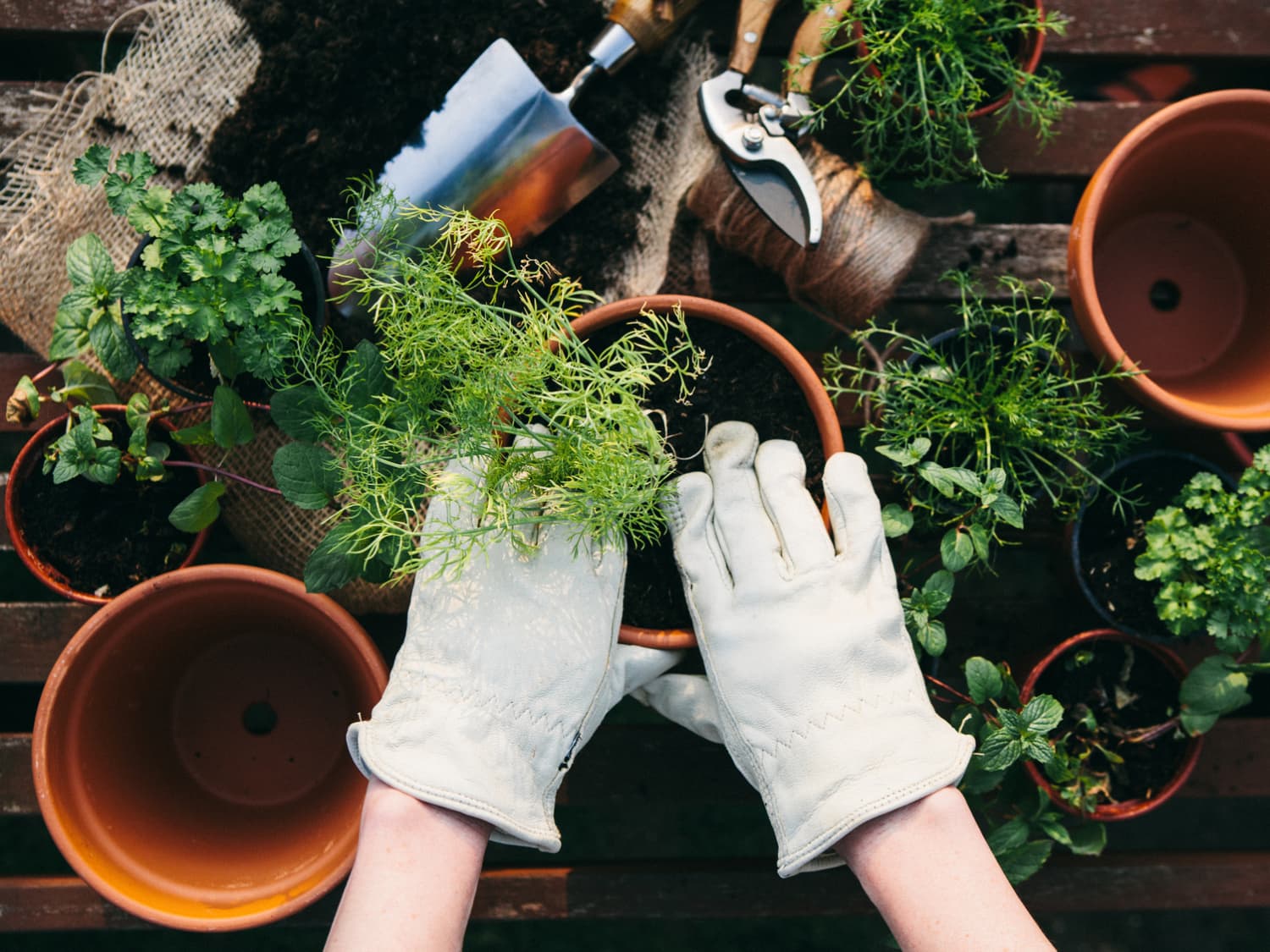 The Cutest Gardening Accessories to Help You Get Your Green Thumb