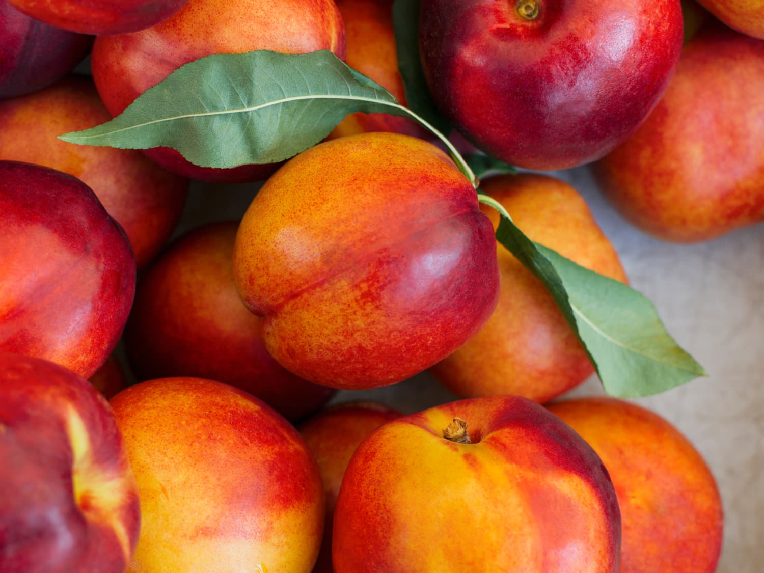 Nectarine fruit hot sale