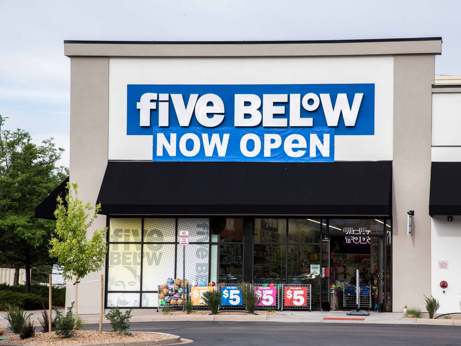 Five below pillows outlet