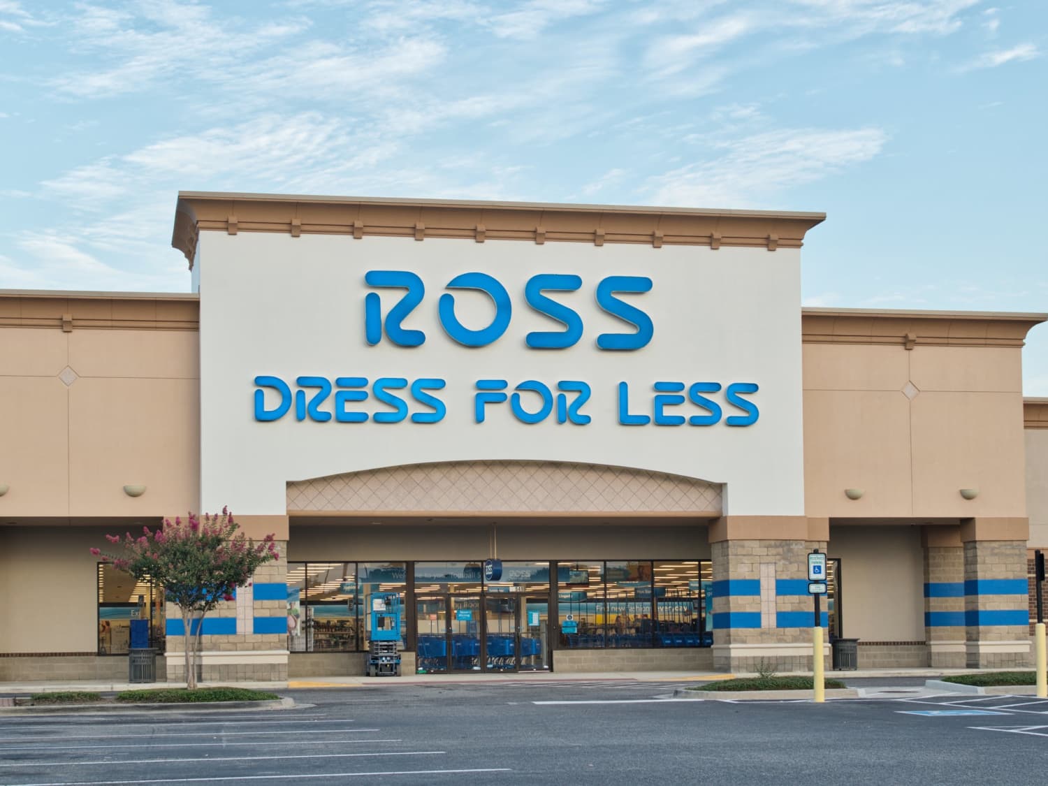 Ross stores dog hotsell beds