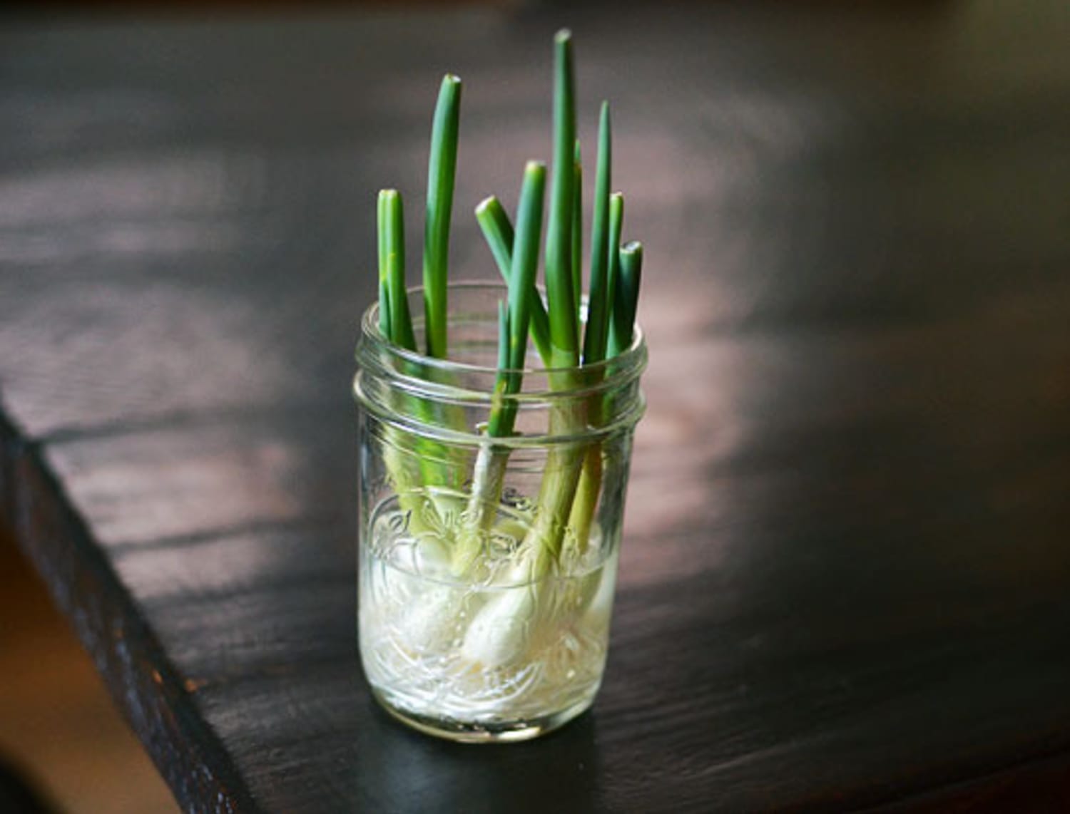 14 Foods You Can Re-Grow from Common Kitchen Scraps
