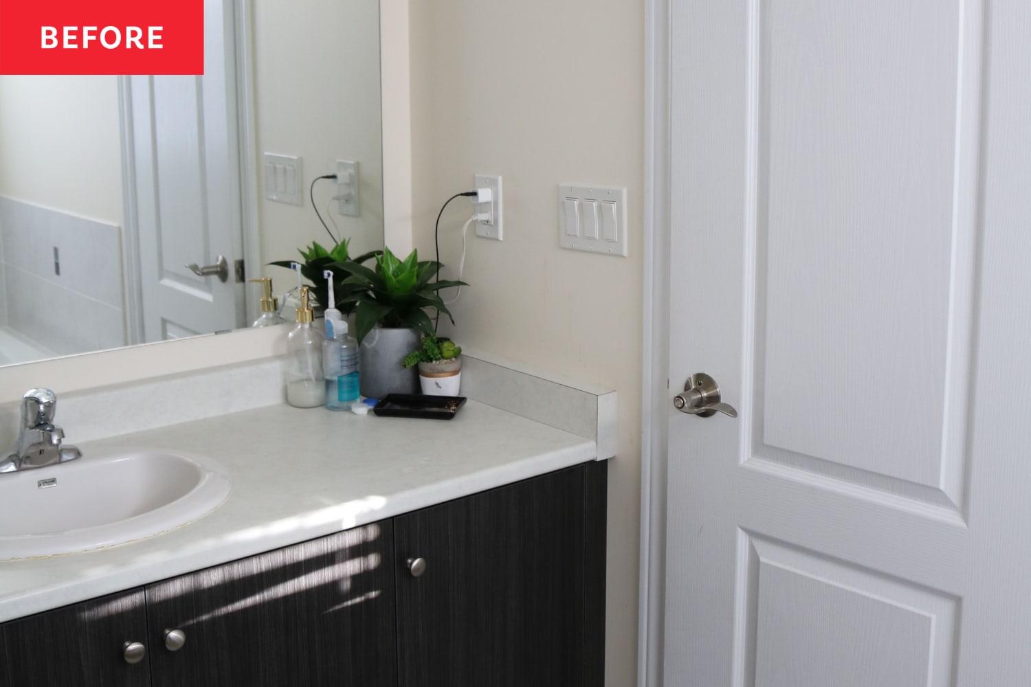 Before and After: Thanks to a $750 Redo, This Bathroom Feels “Like Being in the Rainforest”