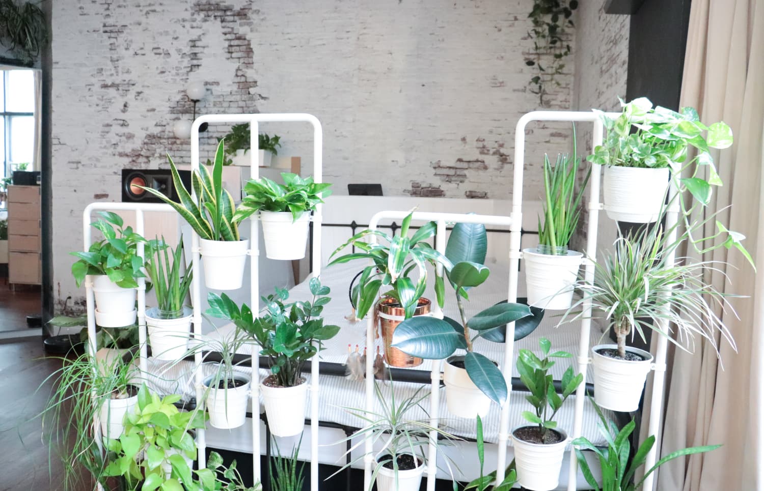 A TikToker Turned an IKEA Cabinet into an Indoor Greenhouse (and It’s Gorgeous)