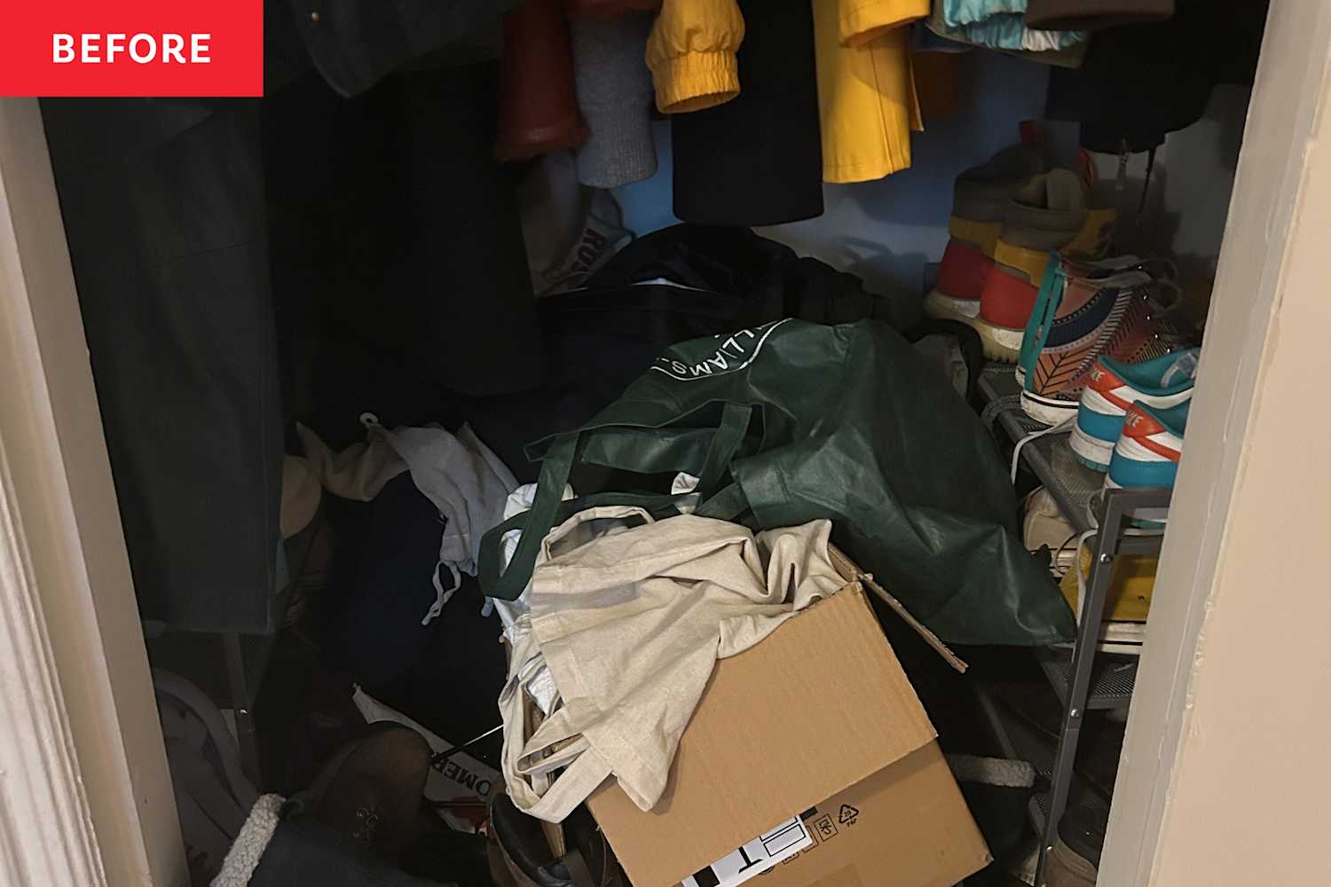Organizing & Cleaning - cover