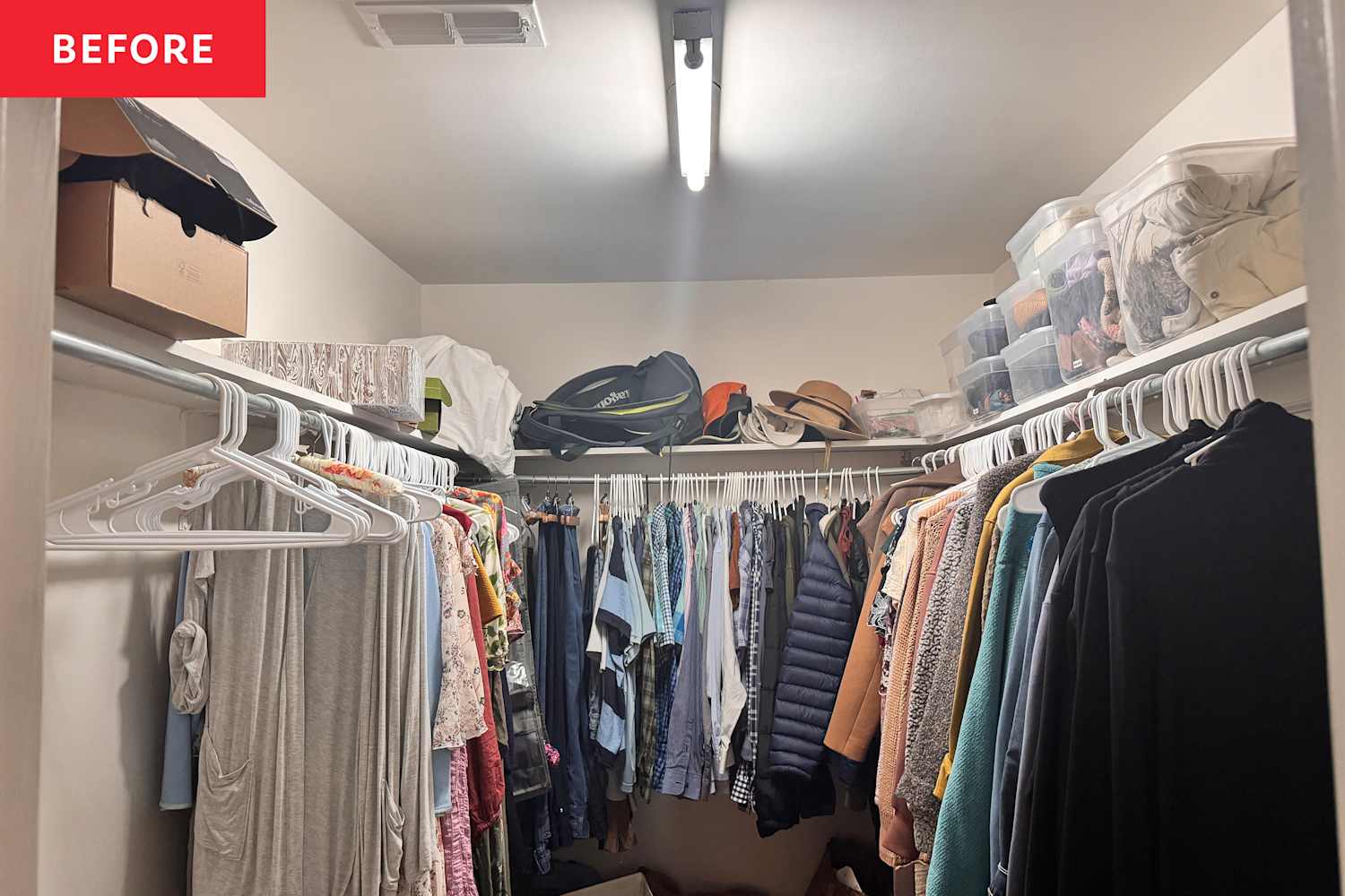 Organizing & Cleaning - cover