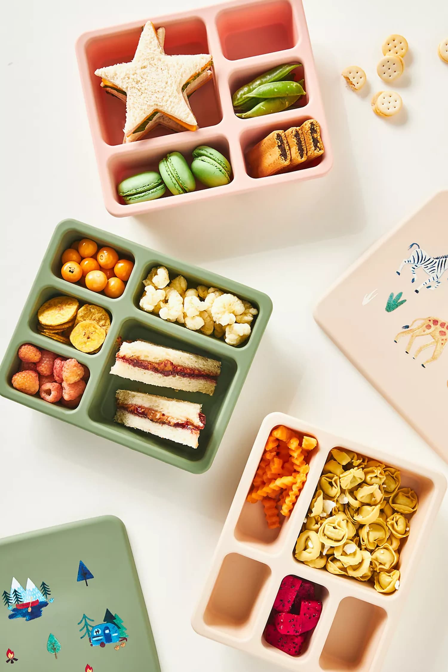 11 Bento Boxes That Make Packing School Lunch the Easiest Thing You’ll Do All Day