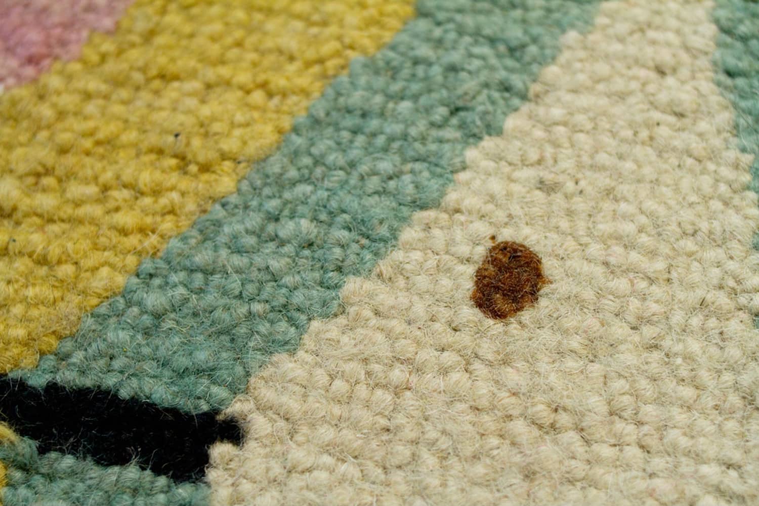 The SuperSurprising Way to Get Stains Out of Your Carpet Flipboard