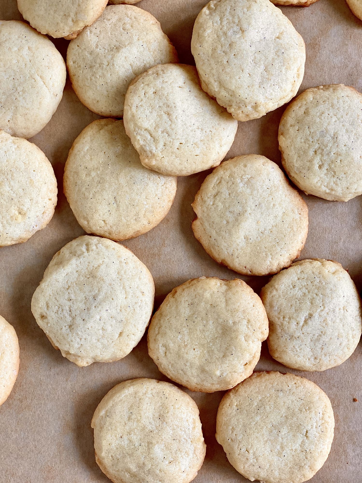 Homemade Vanilla Wafers Are Petite, Crispy, and Bursting with Vanilla ...