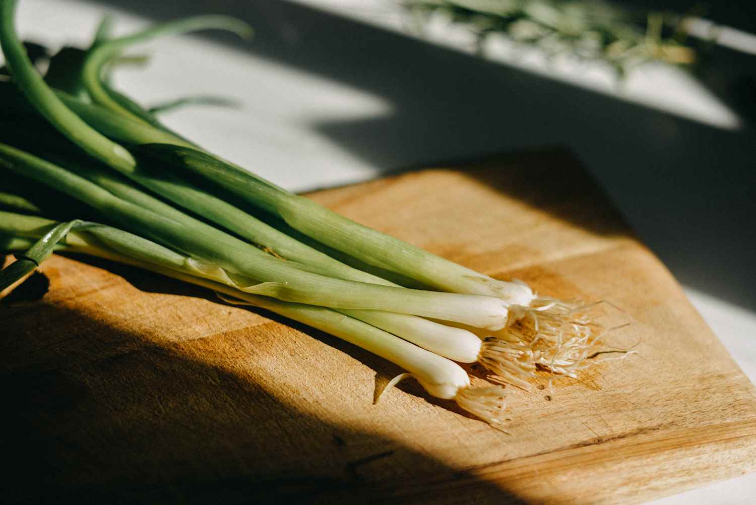 The easiest way to grow green onions from scratch