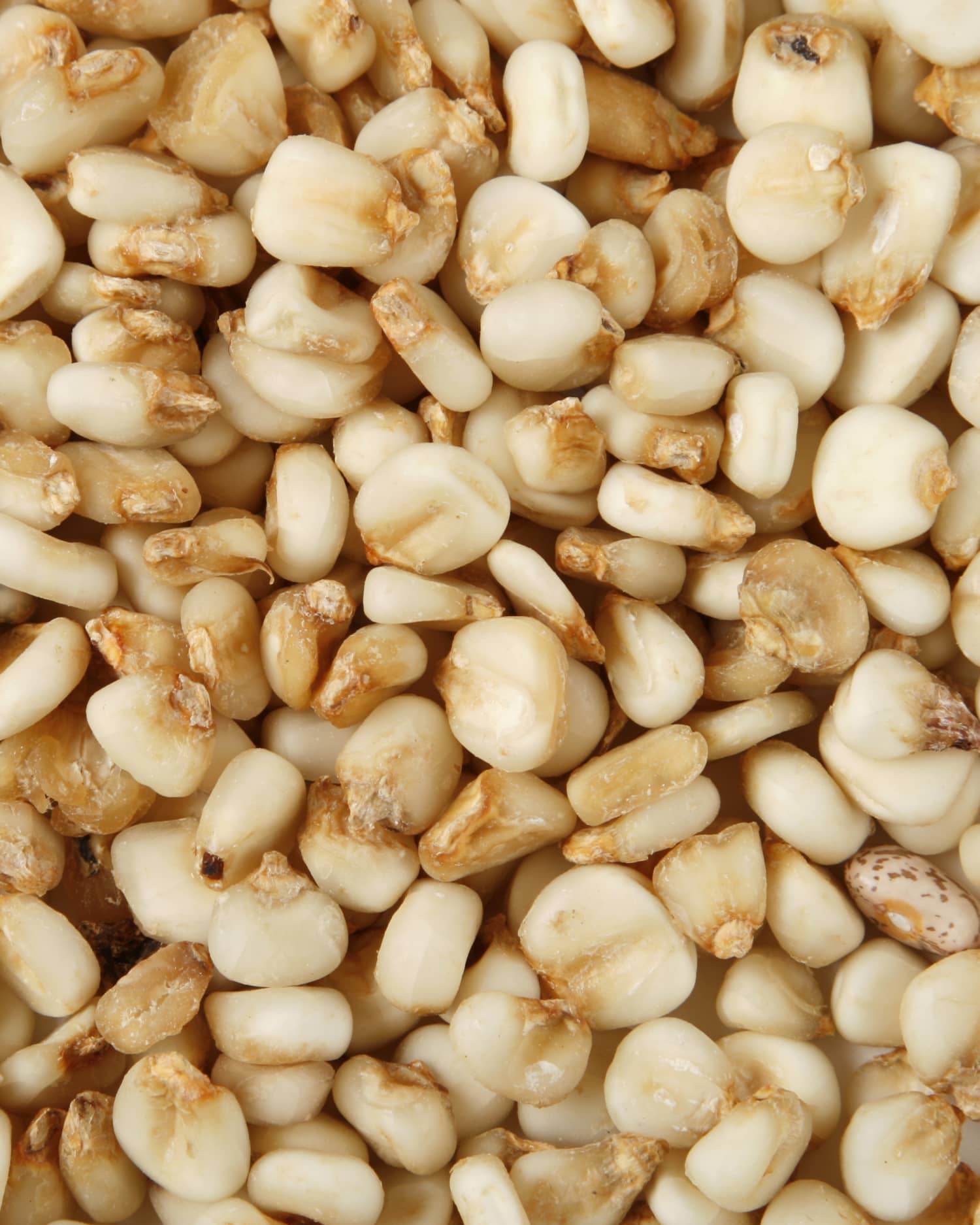 What Is Nixtamalization? The History Behind the Traditional Technique