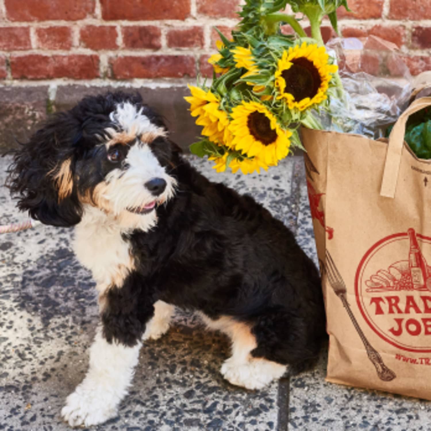 7 Not-to-Be-Missed Trader Joe’s Groceries That Just Hit Stores