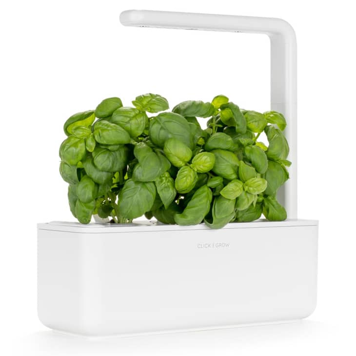 Product Image: The Smart Garden 3