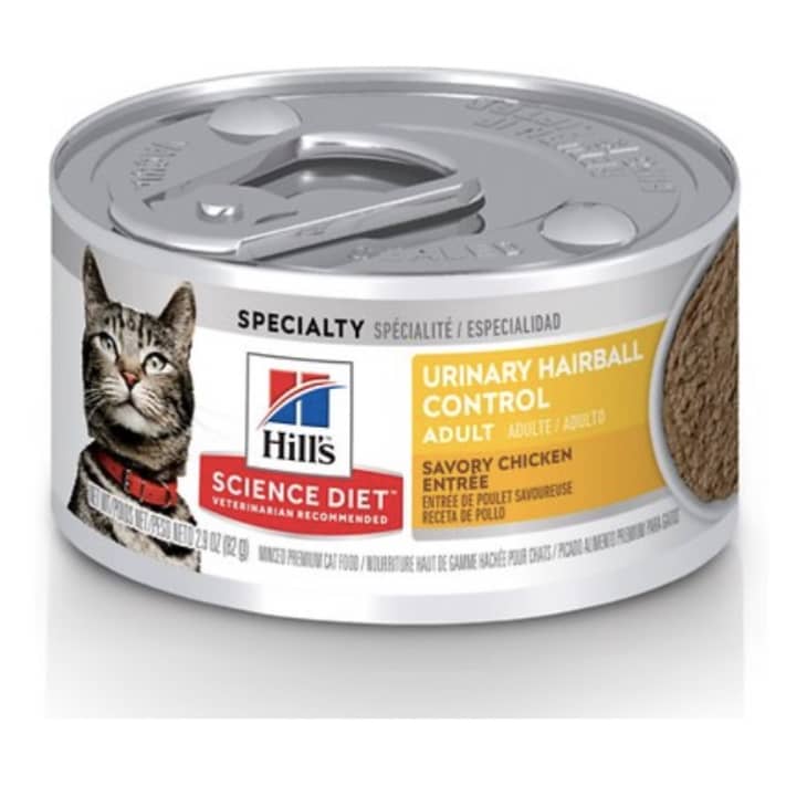 Best Adult Cat And Kitten Food Brands According To A Vet Kitchn