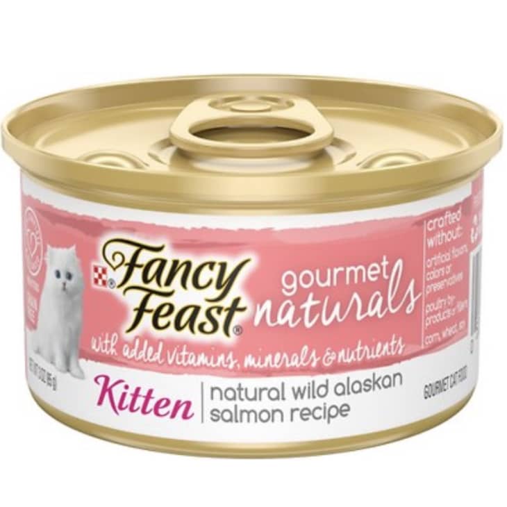Best Adult Cat and Kitten Food Brands According to a Vet Kitchn