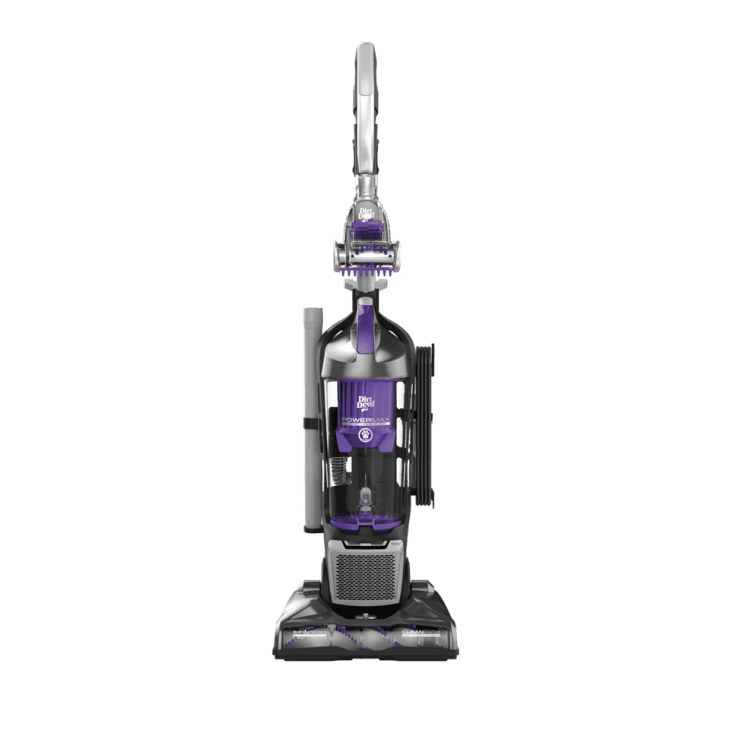 The Best Vacuums for Pet Hair of 2024 (All Tested by Us) Apartment