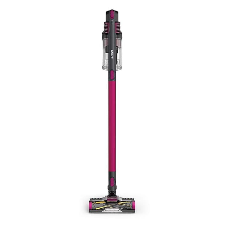 Best Presidents Vacuum Sale 2021 Bed Bath & Beyond's Presidents Day