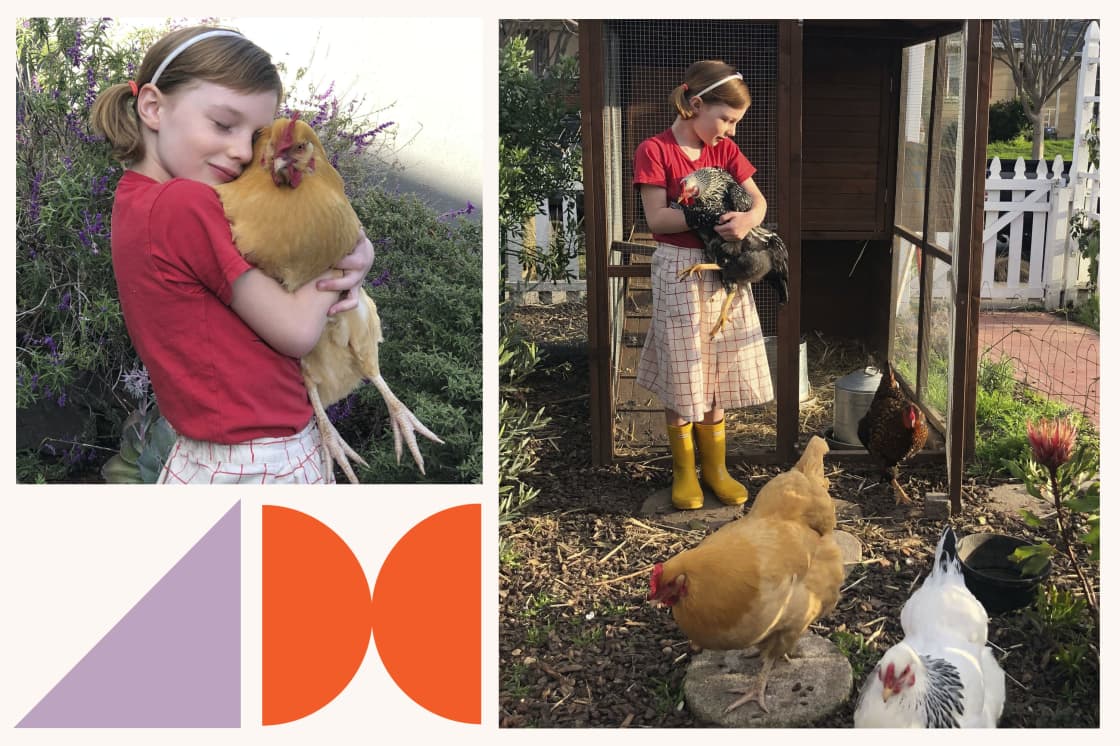 I Actually Bought Chickens During the Pandemic — and It's Been Amazing for My Kids 