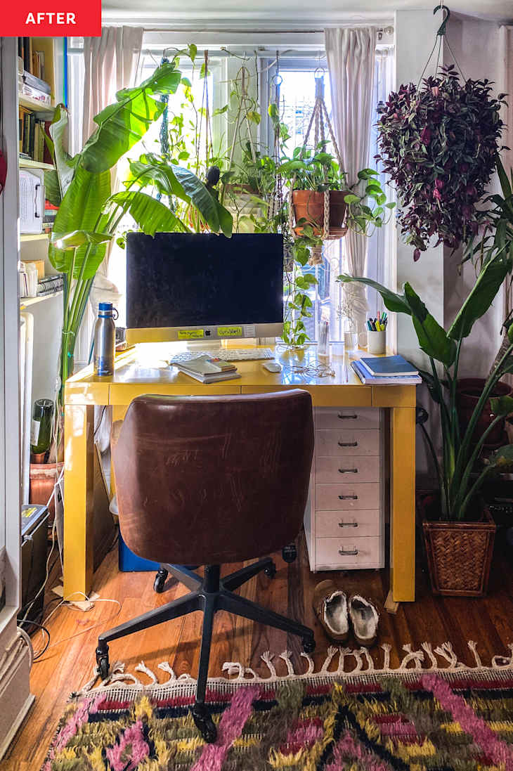 I'm Using a Closet Rod for a Beautiful Plant Display | Apartment Therapy